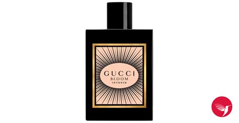 gucci perfume yellow|Gucci bloom perfume knock off.